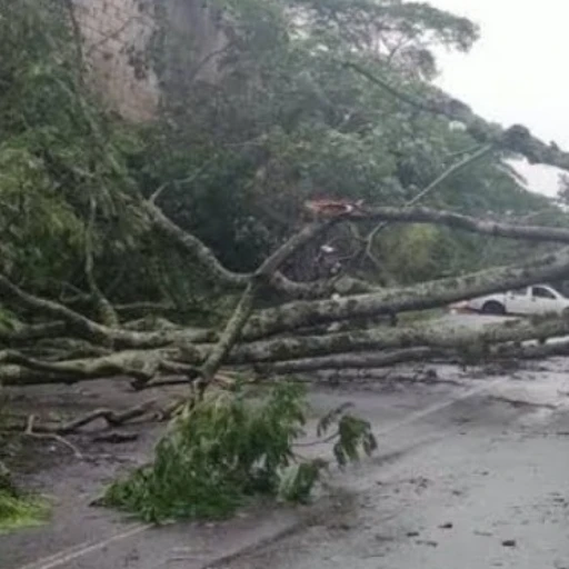 Fuertes vientos huracanados causan destrozos en varios municipios de Táchira