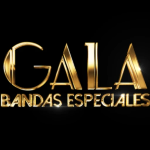 Gala de bandas especiales del Miss Venezuela 2025 llega a Venevision