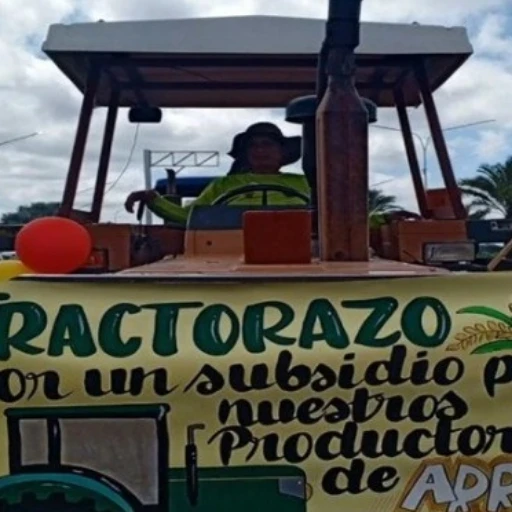 Productores de arroz de Guárico y Portuguesa exigen subsidio y freno a las importaciones