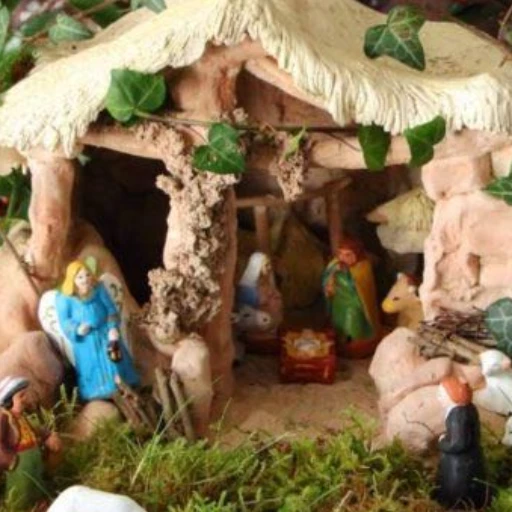 Activaron protocolo de protección por extracción ilegal de musgo para pesebres