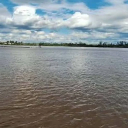 El fenómeno de El Niño provoca crecidas e inundaciones del río Uruguay en Argentina