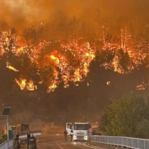 Turquía lucha contra gran incendio forestal en la costa mediterránea en plena ola de calor