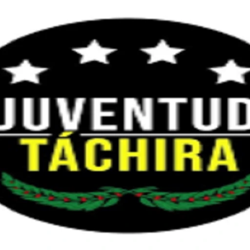 Aprueban más de 5.8 Millones de Bs para proyectos de la juventud en Táchira