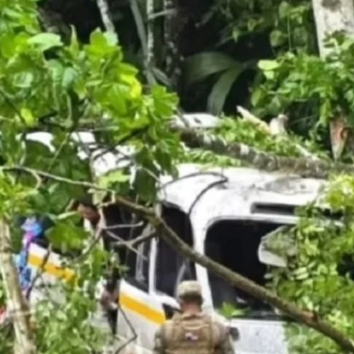 Fallece venezolano en accidente de un autobús que llevaba diez migrantes en Panamá