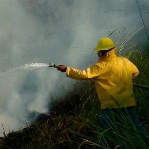 Reducen incendios forestales en ciclo 2025-2026 en el país