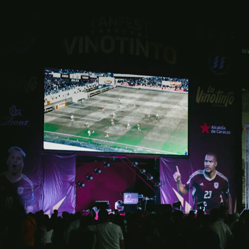 Entre la decepción y la esperanza, la fanaticada vinotinto mantiene la fe