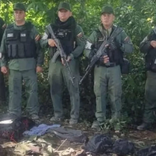 La Fuerza Armada Nacional Bolivariana (Fanb)