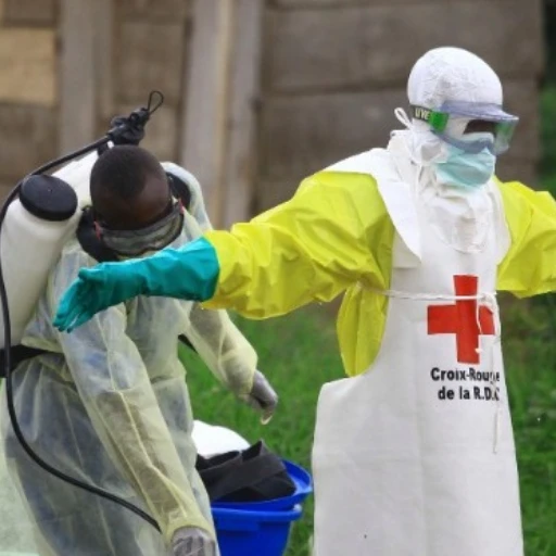 RD del Congo aumenta a 635 los casos confirmados de ébola, incluyendo 127 muertes