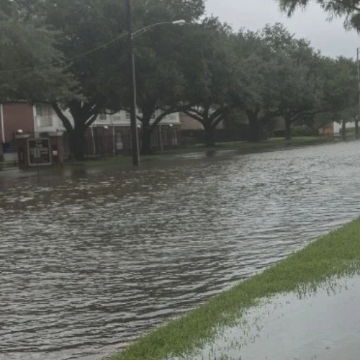 Lluvias récord e inundaciones históricas paralizan la ciudad japonesa de Nagoya