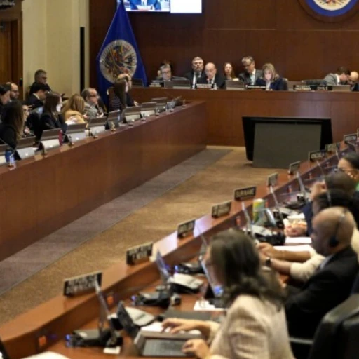 Siete países de la OEA respaldan rechazo a restricciones electorales en Nicaragua
