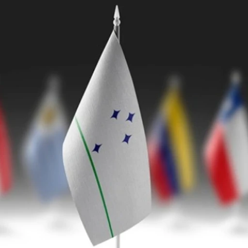 Países del Mercosur abordaron estrategias de cooperación migratoria