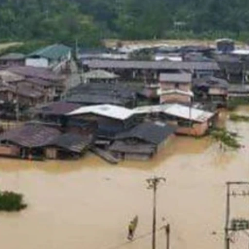 Venezuela se pone a la orden de Colombia para atender emergencia climática