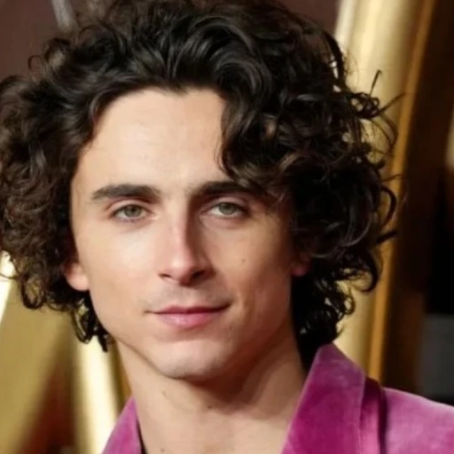 Selena Gómez y Timothée Chalamet liderarán el elenco de nueva película animada
