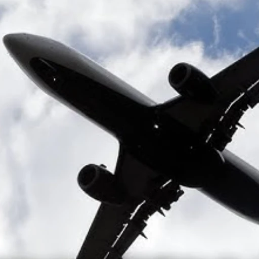 Varias aerolíneas anunciaron que cancelaron sus vuelos desde y hacia Venezuela