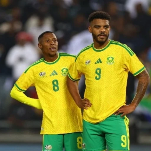 Selección de Sudáfrica retrasa su viaje para el Mundial por problema de visados
