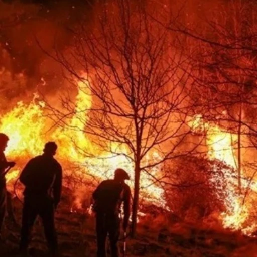 Incendios forestales en el oeste de Canadá obligan a evacuaciones masivas