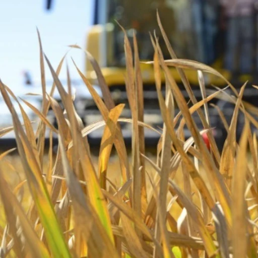 Fedeagro denuncia violencia y extorsión contra agricultores en Venezuela