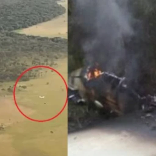 Los detalles de la aeronave que fue derribada en Apure tras «invadir el espacio aéreo»