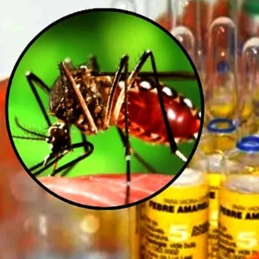 Monagas es el segundo estado con más contagios de fiebre amarilla en el país